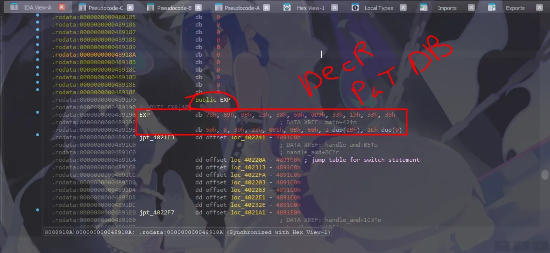 EXP array sitting in .rodata