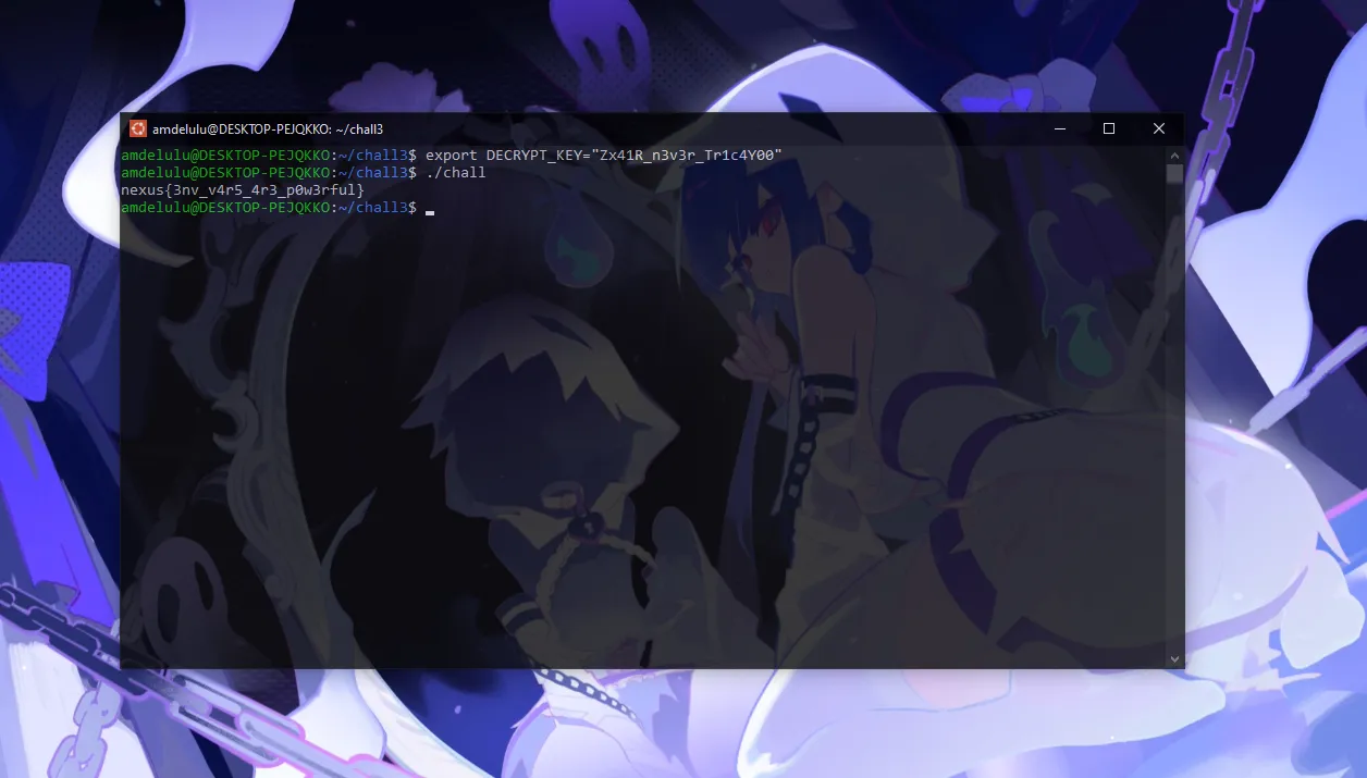 Correct key set, binary prints the decrypted flag
